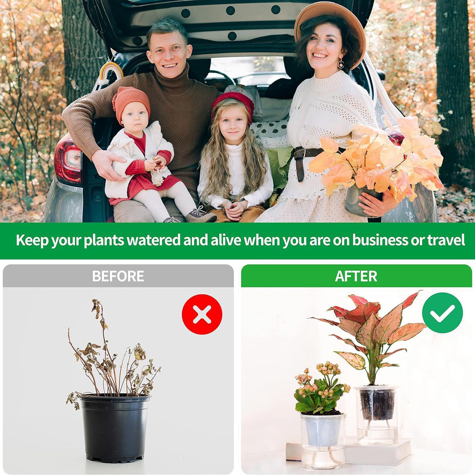 Plant Wicks For Self Watering  - đánh giá và giá Automatic Plant Waterer