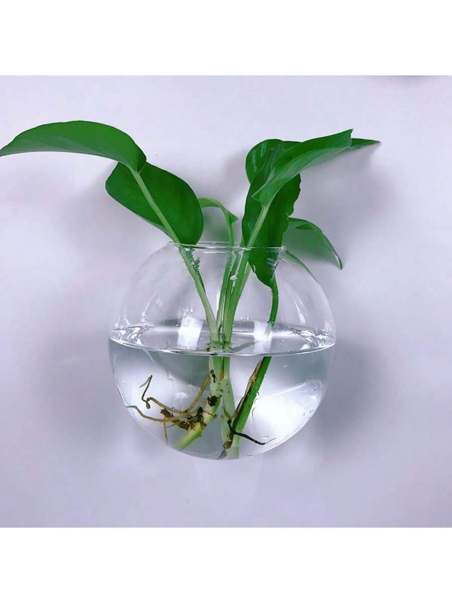 2/4/6 Pack Wall Hanging Glass  - đánh giá và giá Self-Watering Planter