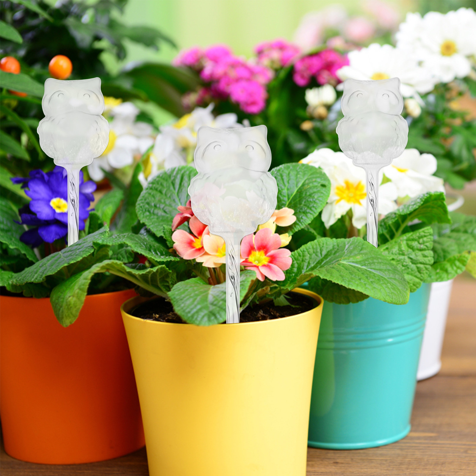 4Pcs Automatic Watering Device - đánh giá và giá Automatic Plant Waterer